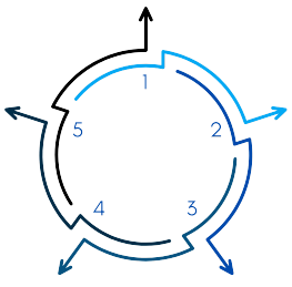 Cycle Diagram